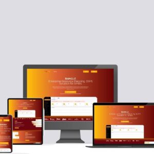 Enterprise ERP - Custom Development